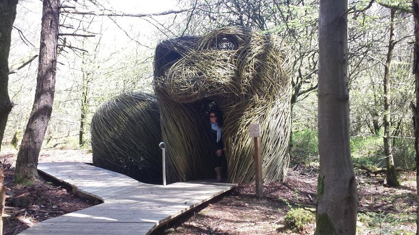 The Talking Tree, Slieve Gullion Sculpture Trail, Newry